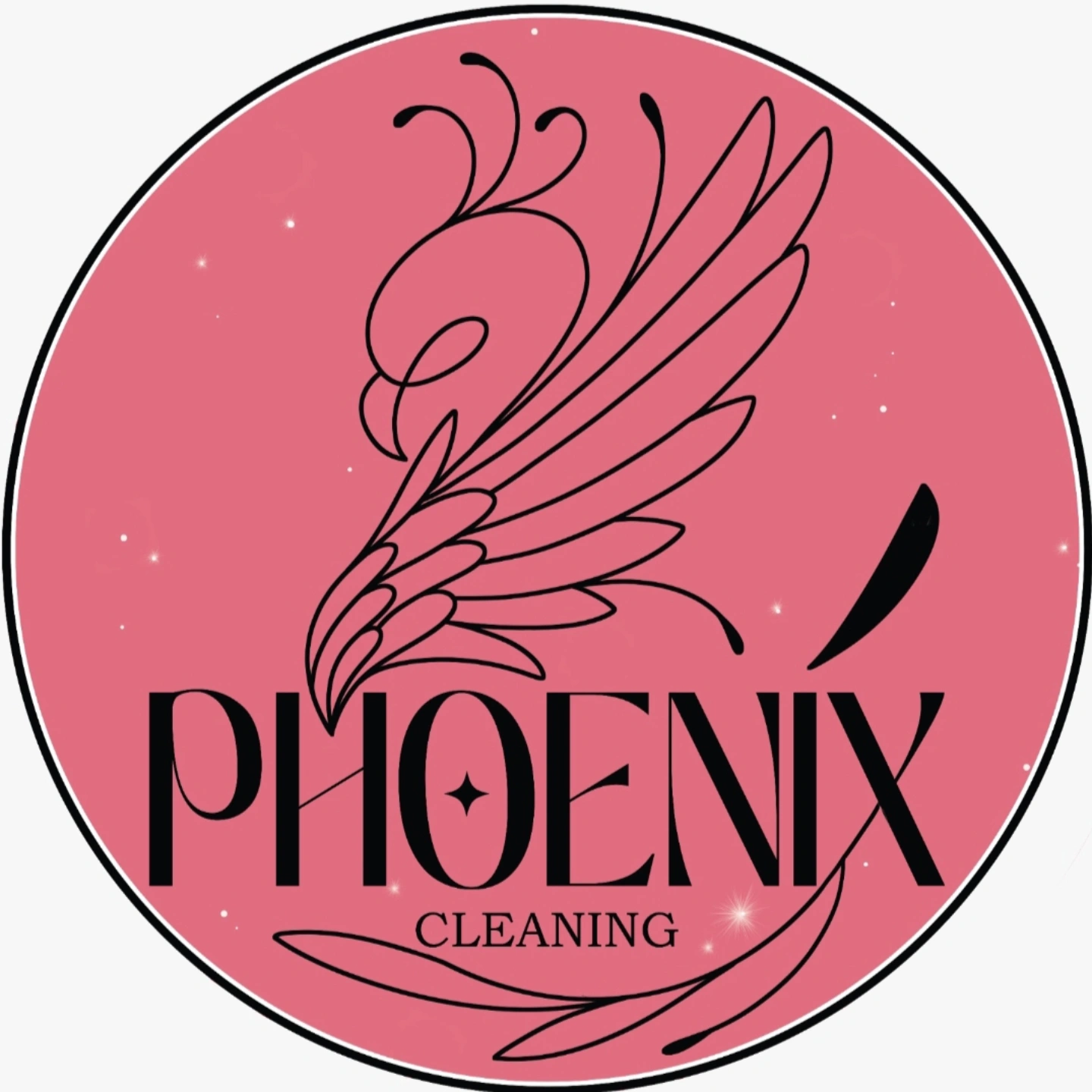 PHOENIX CLEANING S.N.C